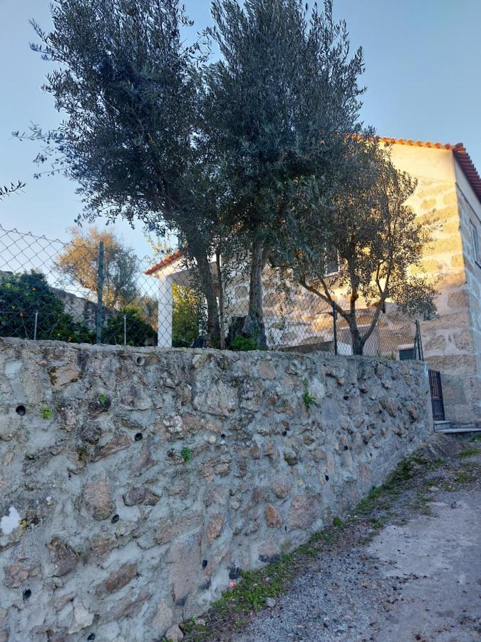 Apartamento Casa Das Cortes - Serra Da Estrela Gouveia  Exterior foto
